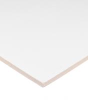 Плита к подвесному потолку 600х600х12 мм Bioguard Plain Board